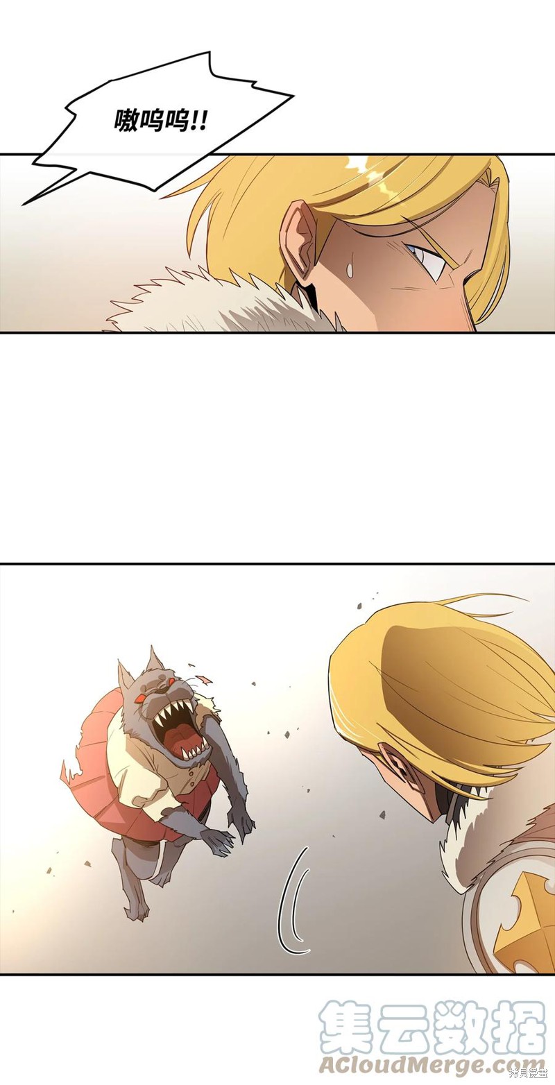 第51页