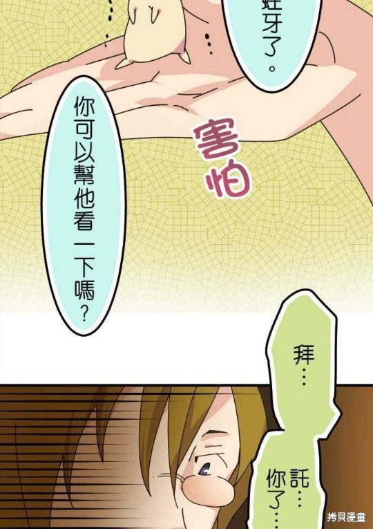 第47页