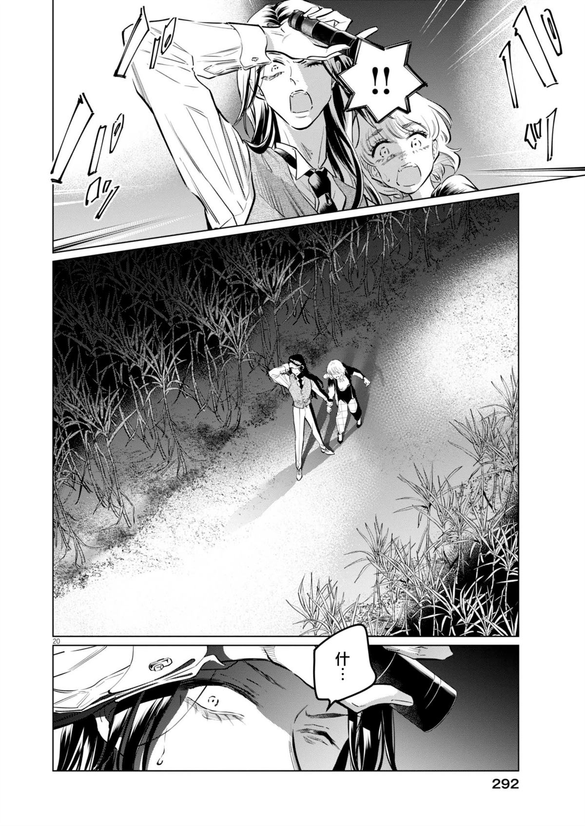第20页